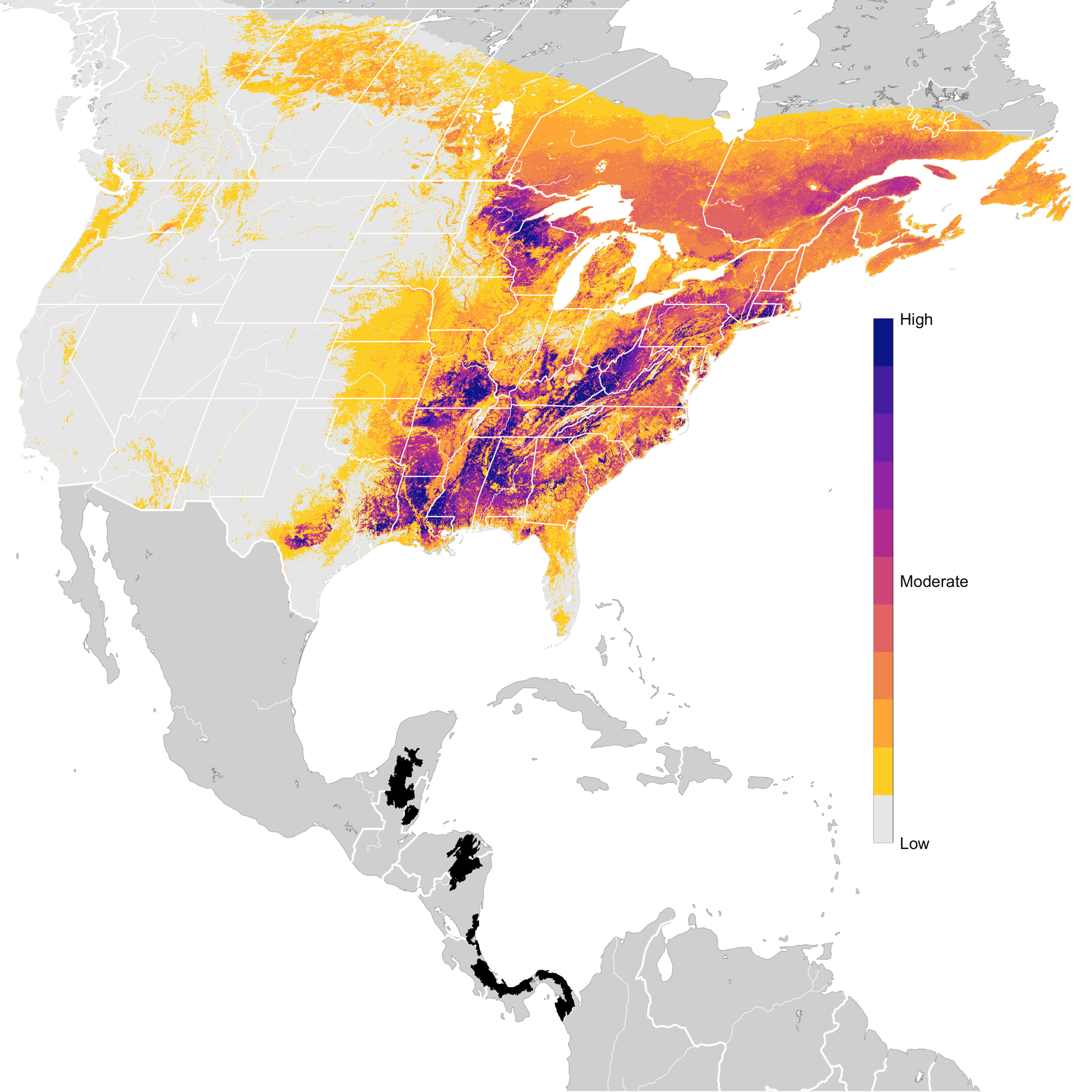 From Central America To Central Park The Return Of Millions Of Birds Map By Anna Lello Smith 